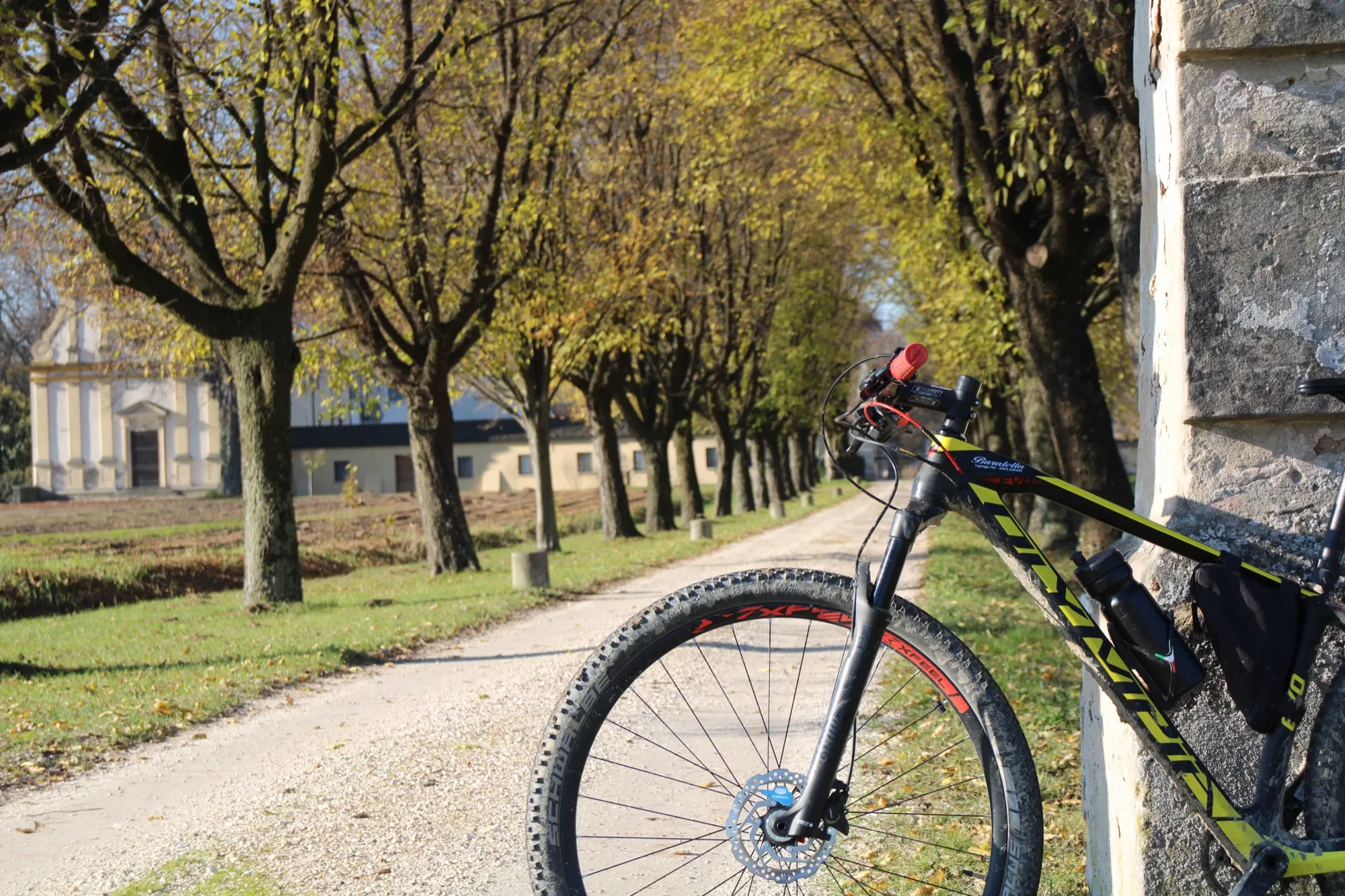 Ciclisti lungo l’Adige al tramonto